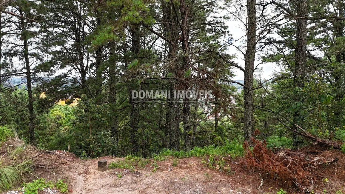 Terreno / Lote à venda, 2020m2 em Campos Do Jordao - SP - imagem 7 Foto 7 de Terreno / Lote à venda, 2020m2 em Campos Do Jordao - SP