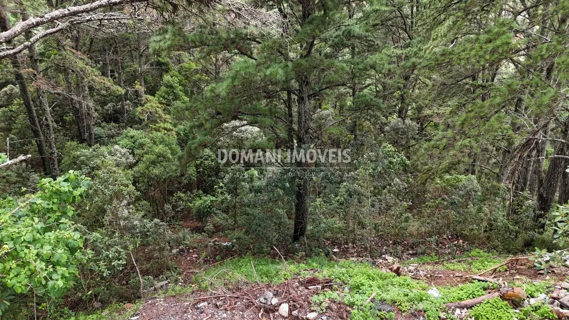 Terreno / Lote à venda, 2020m2 em Campos Do Jordao - SP - imagem 9 Foto 9 de Terreno / Lote à venda, 2020m2 em Campos Do Jordao - SP