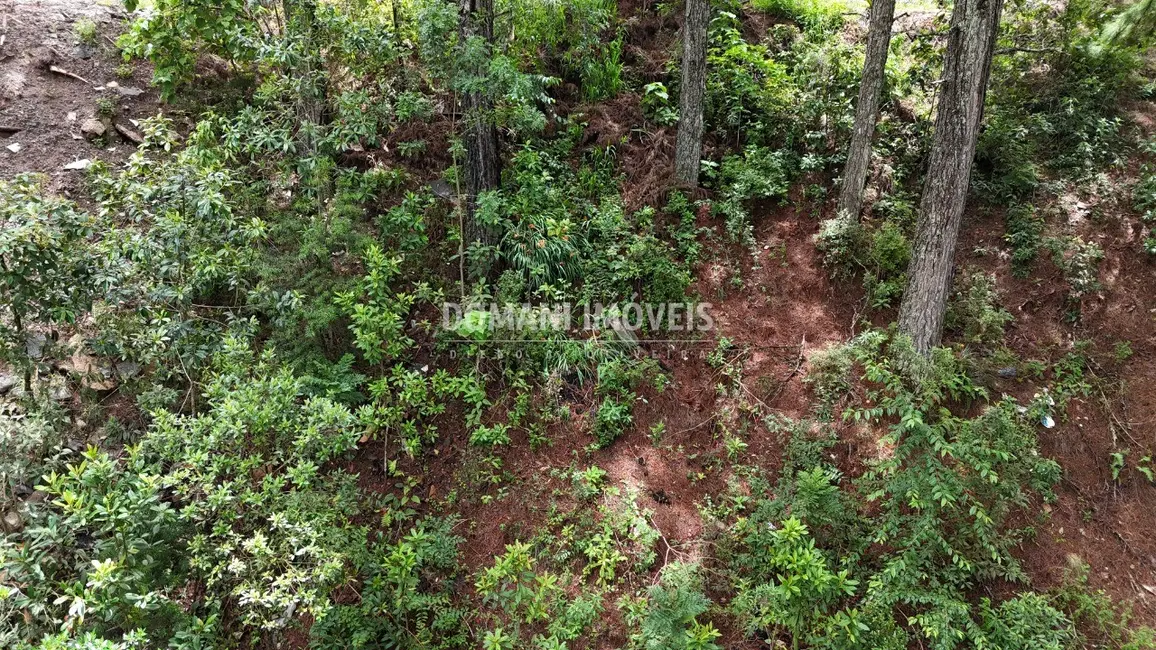 Terreno / Lote à venda, 2020m2 em Campos Do Jordao - SP - imagem 2 Foto 2 de Terreno / Lote à venda, 2020m2 em Campos Do Jordao - SP