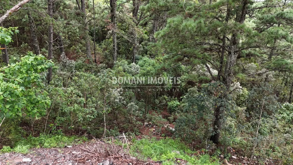 Terreno / Lote à venda, 2020m2 em Campos Do Jordao - SP - imagem 5 Foto 5 de Terreno / Lote à venda, 2020m2 em Campos Do Jordao - SP