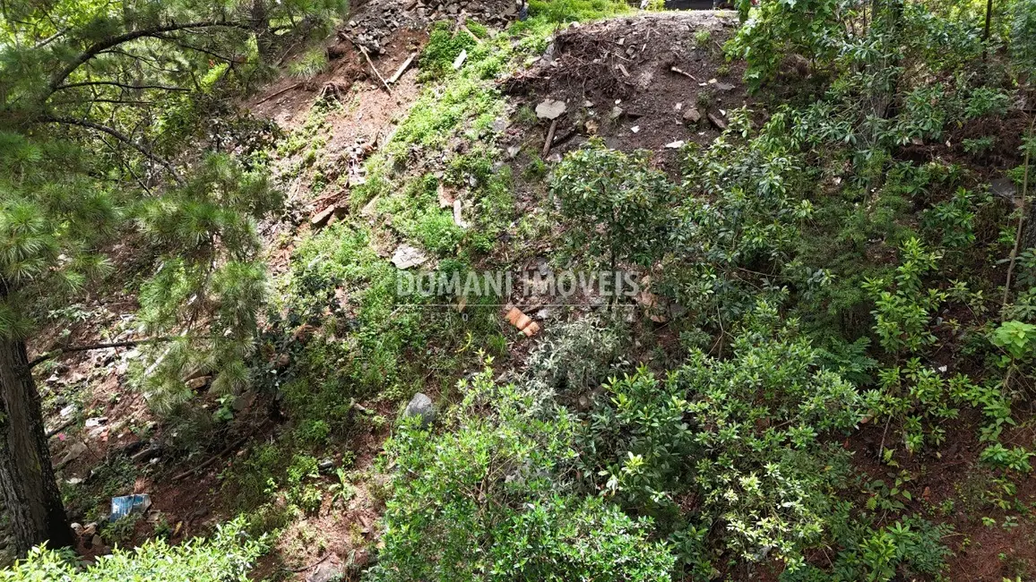 Terreno / Lote à venda, 2020m2 em Campos Do Jordao - SP - imagem 8 Foto 8 de Terreno / Lote à venda, 2020m2 em Campos Do Jordao - SP