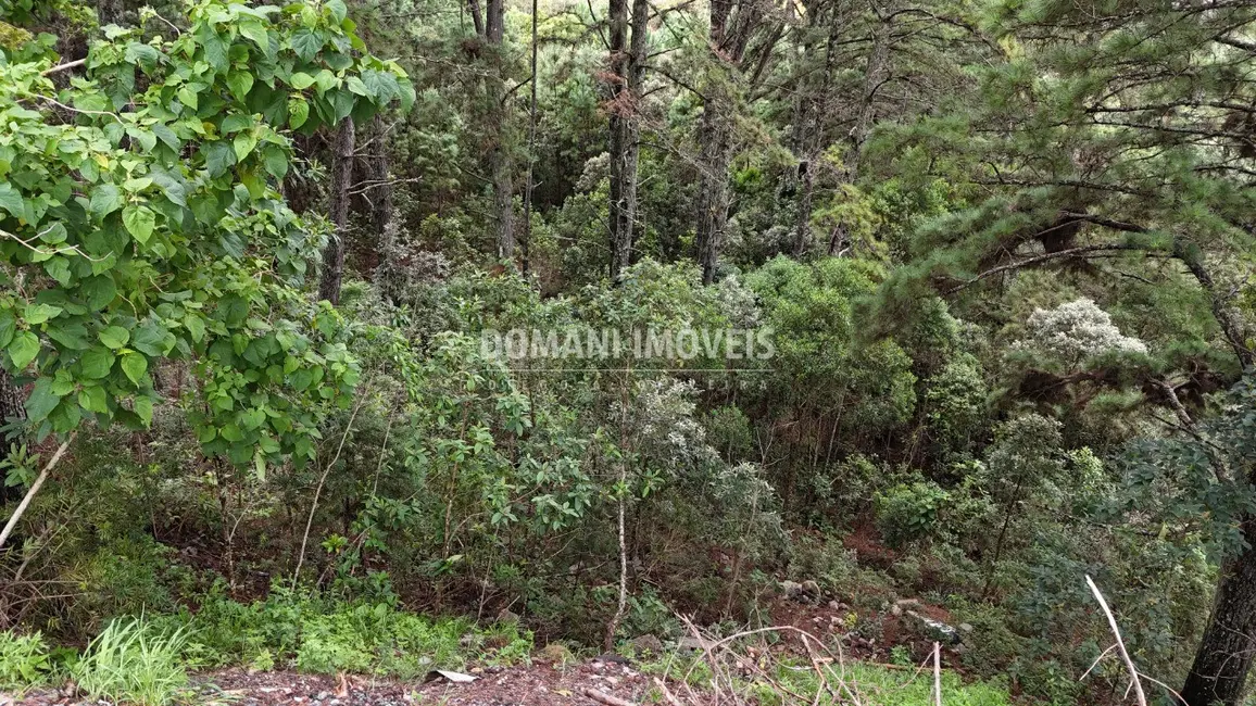 Terreno / Lote à venda, 2020m2 em Campos Do Jordao - SP - imagem 6 Foto 6 de Terreno / Lote à venda, 2020m2 em Campos Do Jordao - SP