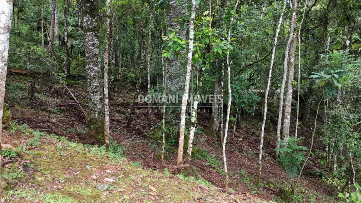 Foto 4 de Casa com 4 quartos à venda, 416m2 em Campos Do Jordao - SP