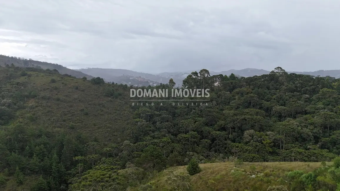 Foto 8 de Terreno / Lote à venda, 2400m2 em Campos Do Jordao - SP