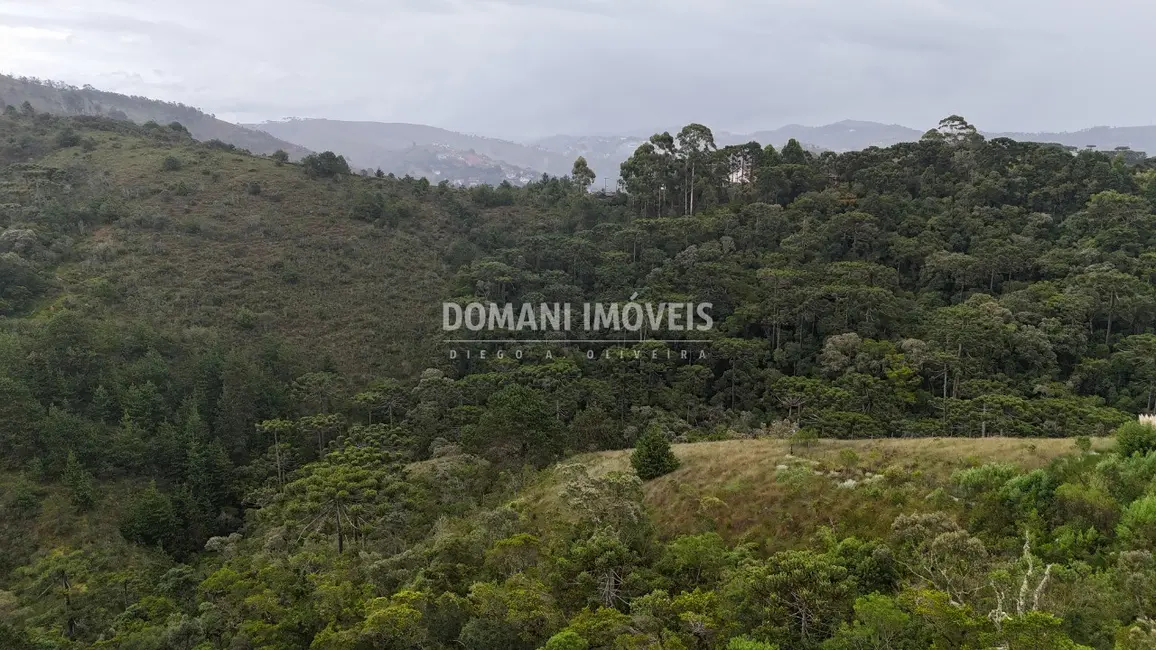 Foto 6 de Terreno / Lote à venda, 2400m2 em Campos Do Jordao - SP
