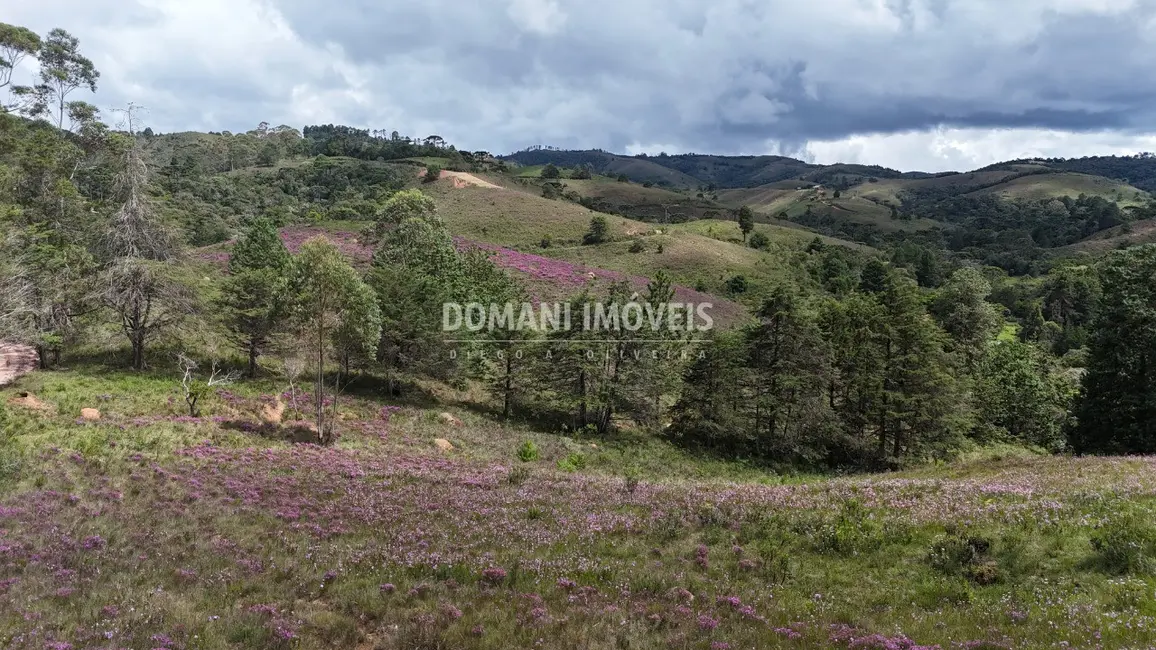 Foto 4 de Terreno / Lote à venda, 7090m2 em Campos Do Jordao - SP