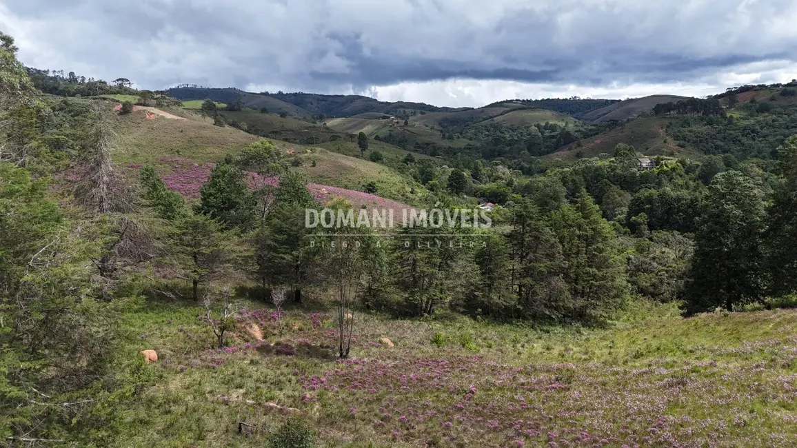 Foto 8 de Terreno / Lote à venda, 7090m2 em Campos Do Jordao - SP