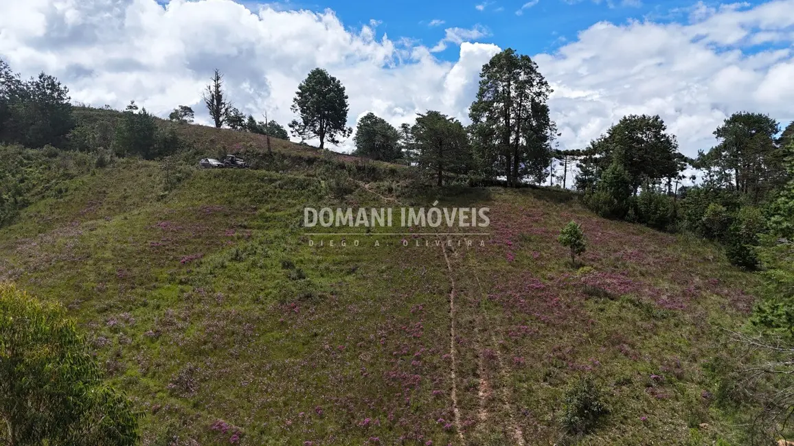 Foto 7 de Terreno / Lote à venda, 7090m2 em Campos Do Jordao - SP