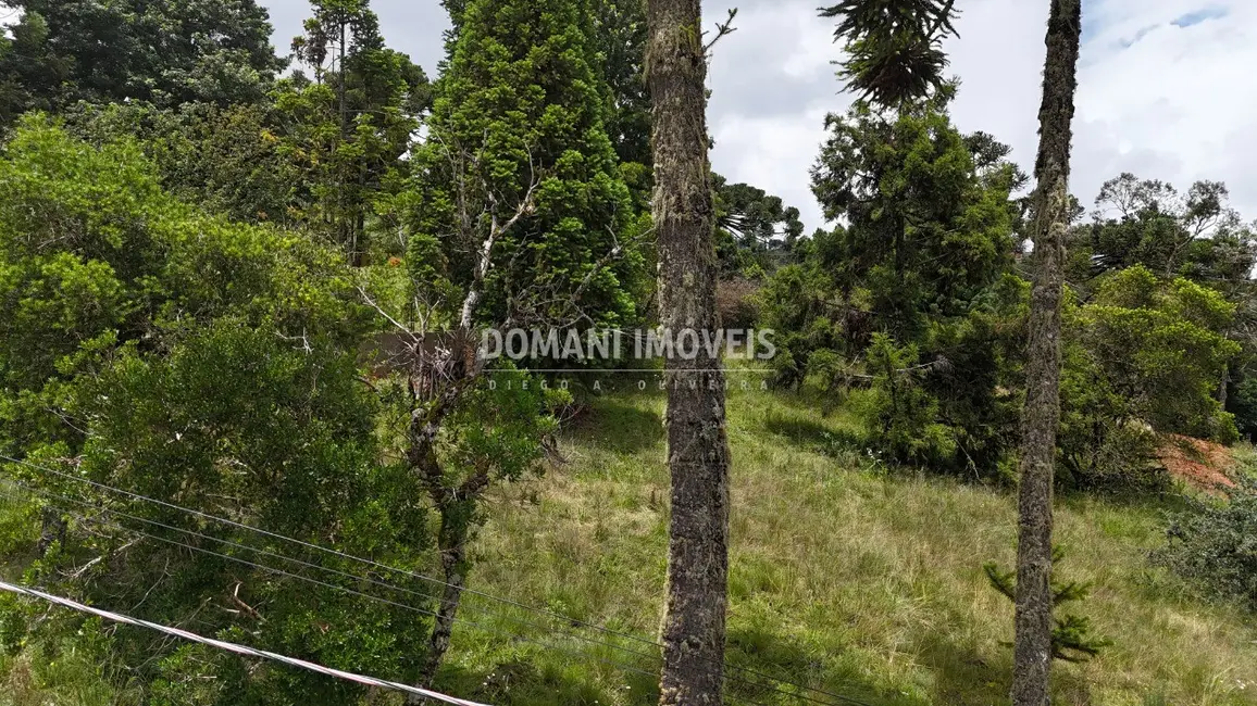 Foto 6 de Terreno / Lote à venda, 1095m2 em Campos Do Jordao - SP