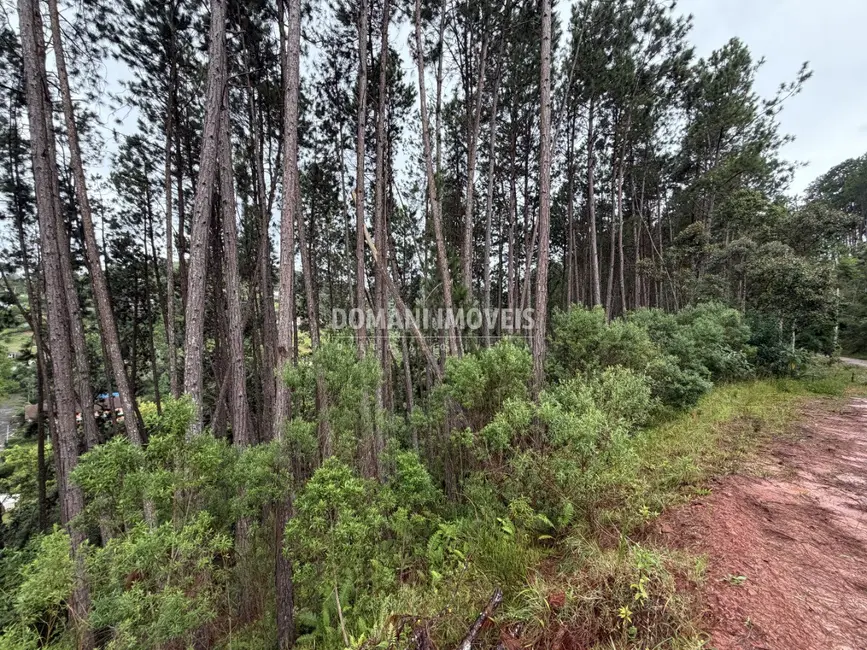 Foto 5 de Terreno / Lote à venda, 2560m2 em Campos Do Jordao - SP