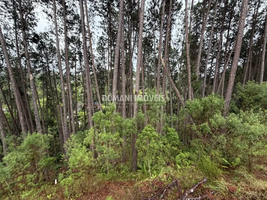 Foto 6 de Terreno / Lote à venda, 2560m2 em Campos Do Jordao - SP