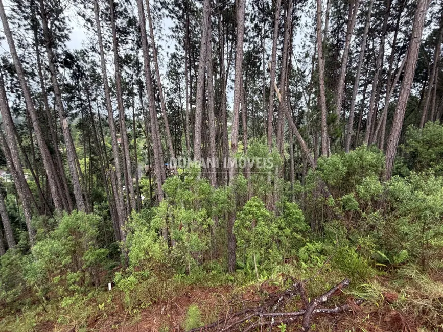 Foto 4 de Terreno / Lote à venda, 2560m2 em Campos Do Jordao - SP