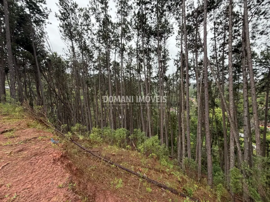 Foto 8 de Terreno / Lote à venda, 2560m2 em Campos Do Jordao - SP