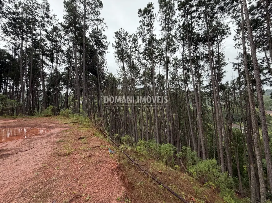 Foto 7 de Terreno / Lote à venda, 2560m2 em Campos Do Jordao - SP
