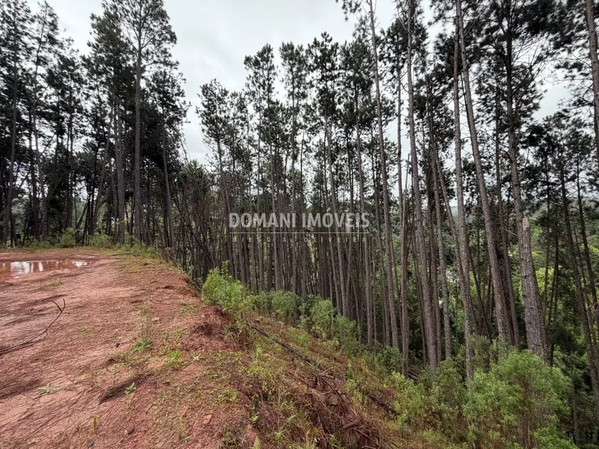 Foto 1 de Terreno / Lote à venda, 2560m2 em Campos Do Jordao - SP