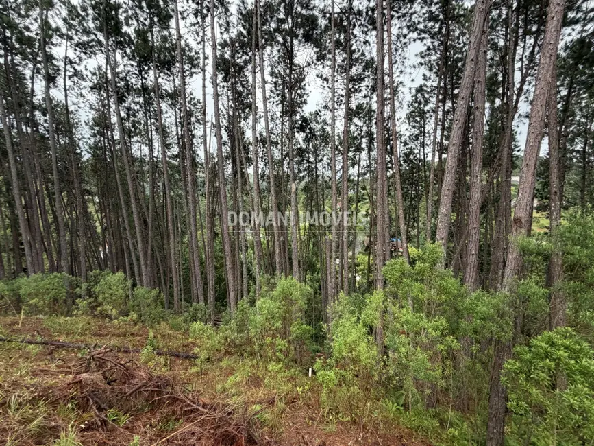 Foto 2 de Terreno / Lote à venda, 2560m2 em Campos Do Jordao - SP