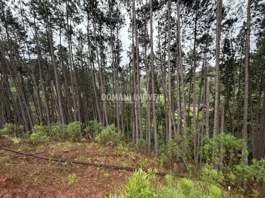 Foto 9 de Terreno / Lote à venda, 2560m2 em Campos Do Jordao - SP
