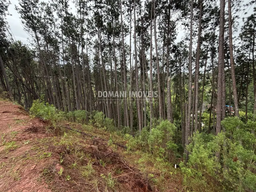 Foto 3 de Terreno / Lote à venda, 2560m2 em Campos Do Jordao - SP