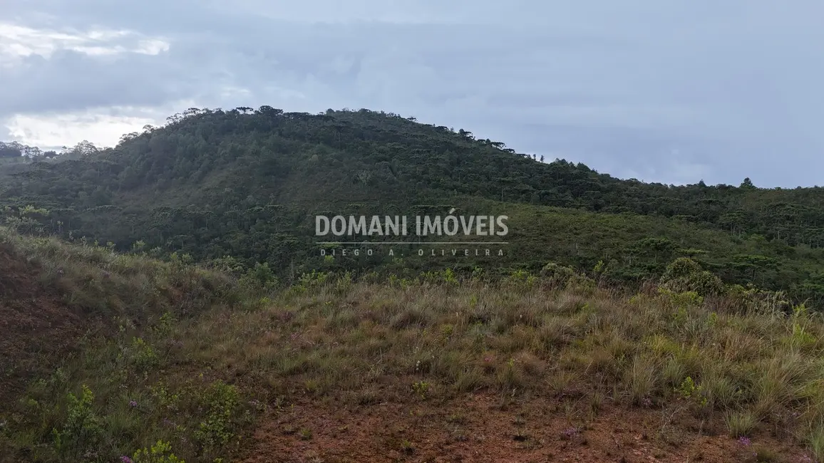 Foto 6 de Terreno / Lote à venda, 2320m2 em Campos Do Jordao - SP