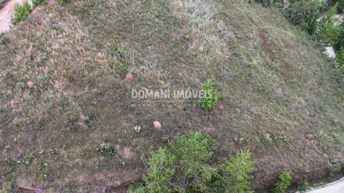 Foto 4 de Terreno / Lote à venda, 2520m2 em Campos Do Jordao - SP