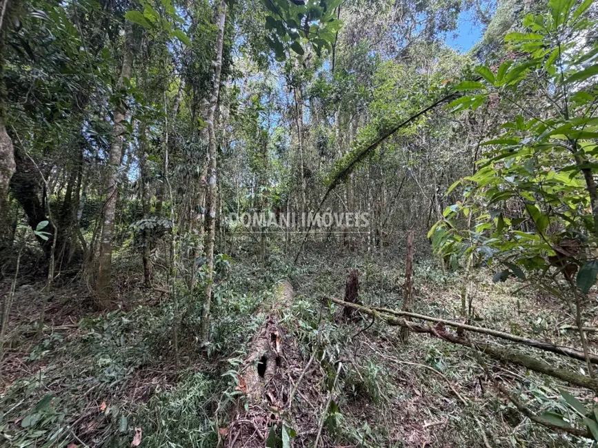 Terreno / Lote à venda, 1000m2 em Campos Do Jordao - SP - imagem 5 Foto 5 de Terreno / Lote à venda, 1000m2 em Campos Do Jordao - SP