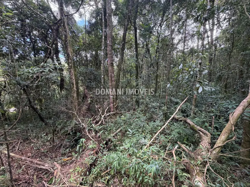 Terreno / Lote à venda, 1000m2 em Campos Do Jordao - SP - imagem 4 Foto 4 de Terreno / Lote à venda, 1000m2 em Campos Do Jordao - SP