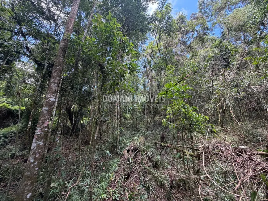 Terreno / Lote à venda, 1000m2 em Campos Do Jordao - SP - imagem 3 Foto 3 de Terreno / Lote à venda, 1000m2 em Campos Do Jordao - SP