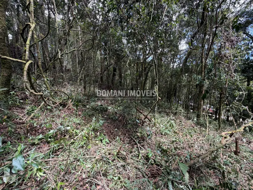 Terreno / Lote à venda, 1000m2 em Campos Do Jordao - SP - imagem 9 Foto 9 de Terreno / Lote à venda, 1000m2 em Campos Do Jordao - SP