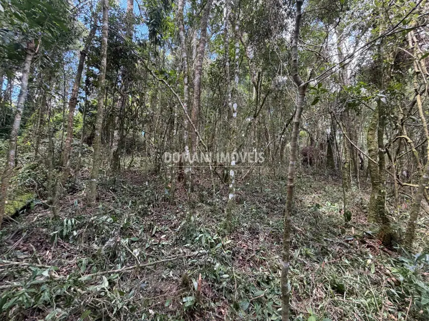 Terreno / Lote à venda, 1000m2 em Campos Do Jordao - SP - imagem 8 Foto 8 de Terreno / Lote à venda, 1000m2 em Campos Do Jordao - SP