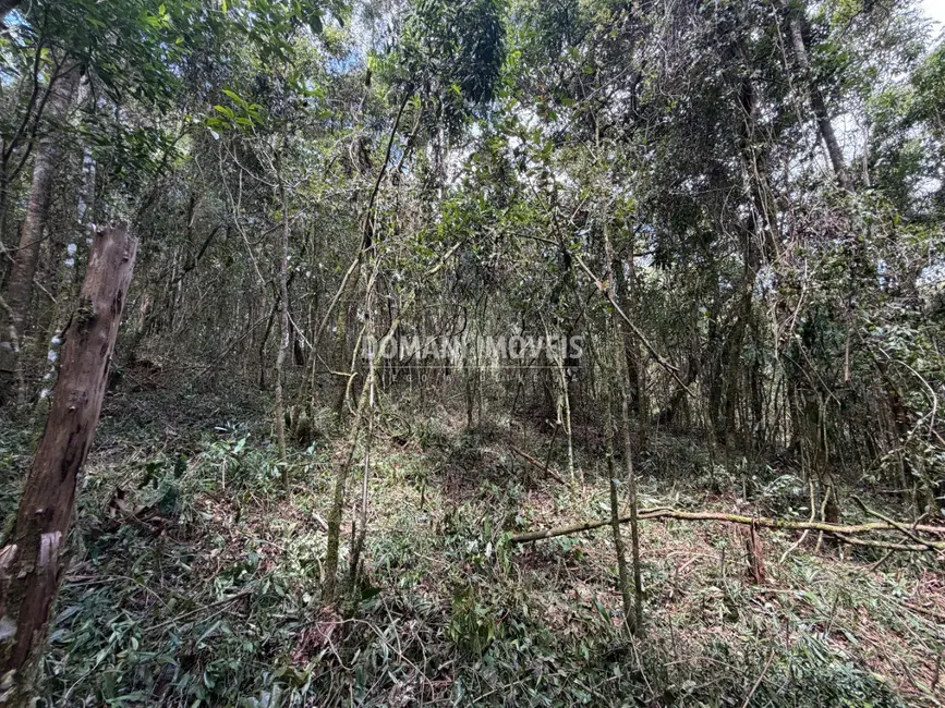 Terreno / Lote à venda, 1000m2 em Campos Do Jordao - SP - imagem 6 Foto 6 de Terreno / Lote à venda, 1000m2 em Campos Do Jordao - SP