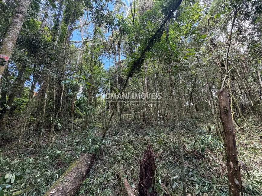 Terreno / Lote à venda, 1000m2 em Campos Do Jordao - SP - imagem 7 Foto 7 de Terreno / Lote à venda, 1000m2 em Campos Do Jordao - SP