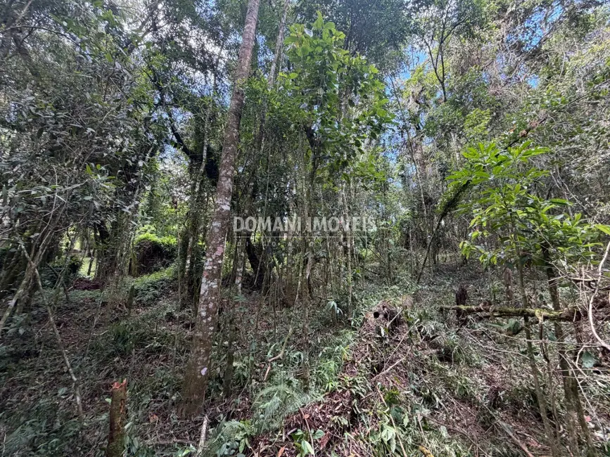 Terreno / Lote à venda, 1000m2 em Campos Do Jordao - SP - imagem 2 Foto 2 de Terreno / Lote à venda, 1000m2 em Campos Do Jordao - SP