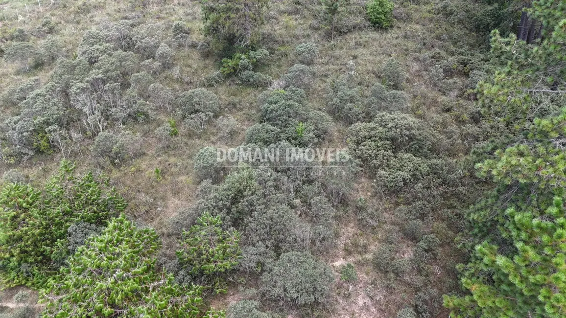 Foto 6 de Terreno / Lote à venda, 1515m2 em Campos Do Jordao - SP