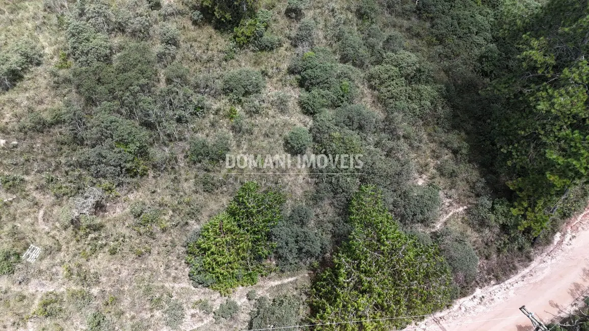 Foto 3 de Terreno / Lote à venda, 1515m2 em Campos Do Jordao - SP