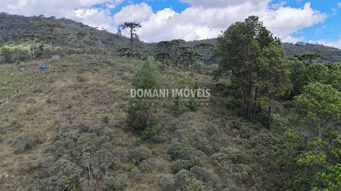 Foto 9 de Terreno / Lote à venda, 1515m2 em Campos Do Jordao - SP