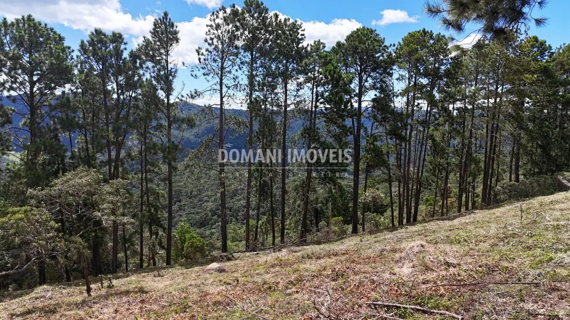 Terreno / Lote à venda, 5290m2 em Campos Do Jordao - SP - imagem 9 Foto 9 de Terreno / Lote à venda, 5290m2 em Campos Do Jordao - SP