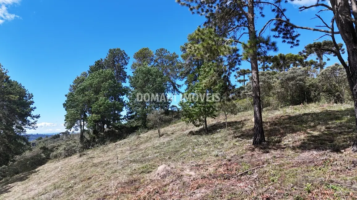 Terreno / Lote à venda, 5290m2 em Campos Do Jordao - SP - imagem 4 Foto 4 de Terreno / Lote à venda, 5290m2 em Campos Do Jordao - SP