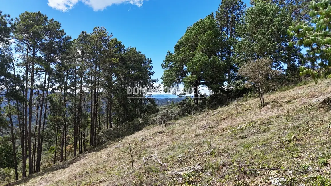 Terreno / Lote à venda, 5290m2 em Campos Do Jordao - SP - imagem 1 Foto 1 de Terreno / Lote à venda, 5290m2 em Campos Do Jordao - SP