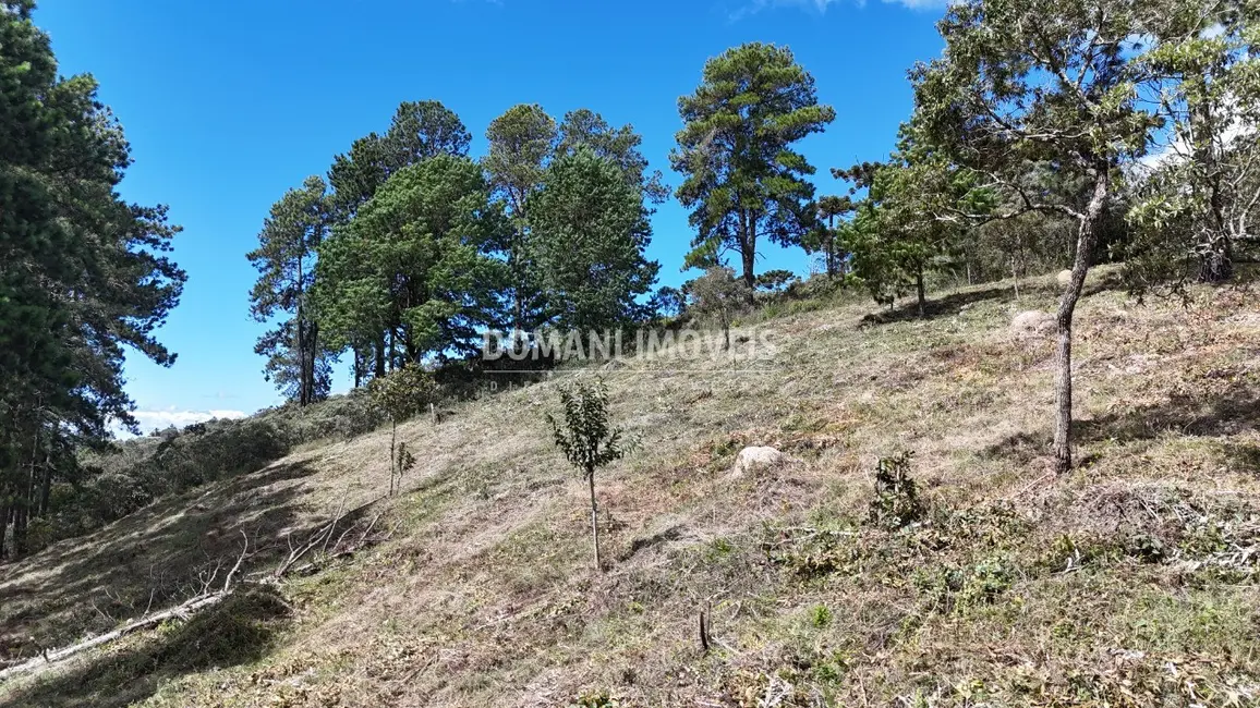 Terreno / Lote à venda, 5290m2 em Campos Do Jordao - SP - imagem 7 Foto 7 de Terreno / Lote à venda, 5290m2 em Campos Do Jordao - SP