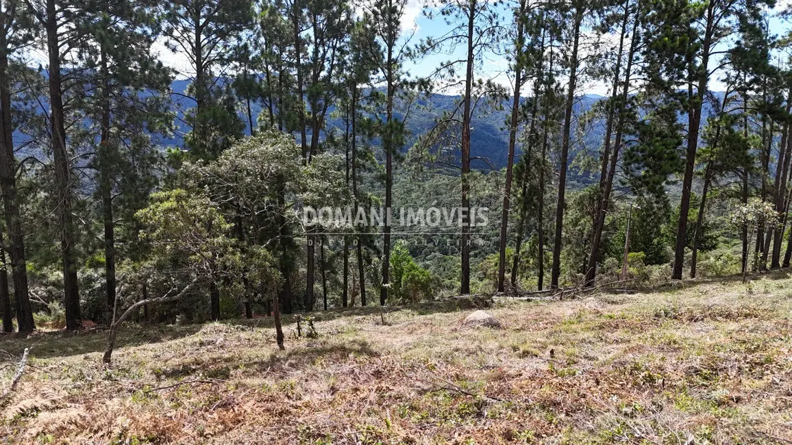 Terreno / Lote à venda, 5290m2 em Campos Do Jordao - SP - imagem 5 Foto 5 de Terreno / Lote à venda, 5290m2 em Campos Do Jordao - SP