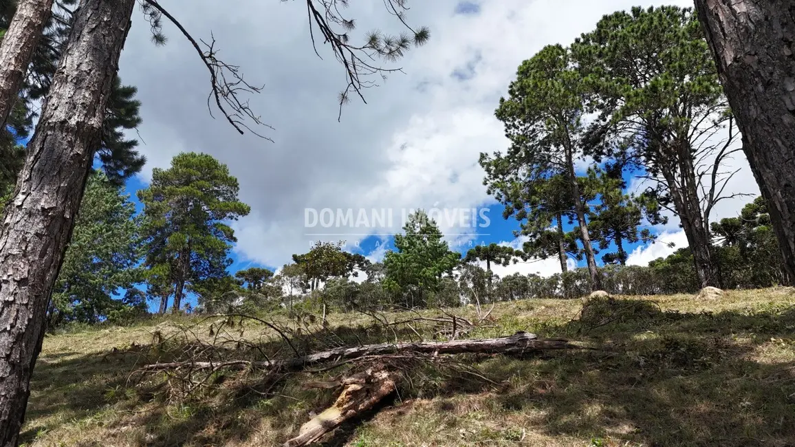 Terreno / Lote à venda, 5290m2 em Campos Do Jordao - SP - imagem 6 Foto 6 de Terreno / Lote à venda, 5290m2 em Campos Do Jordao - SP