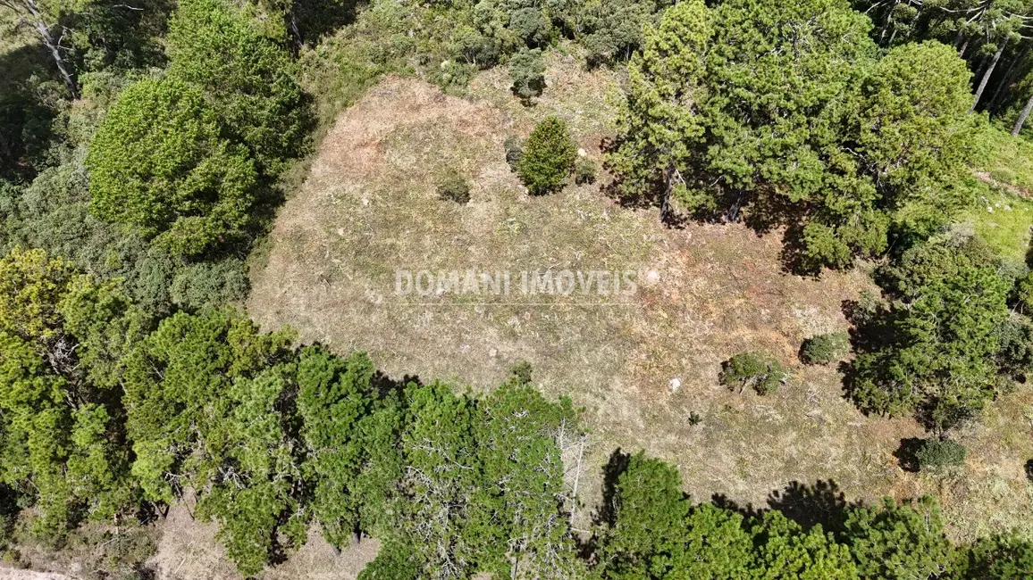 Terreno / Lote à venda, 5290m2 em Campos Do Jordao - SP - imagem 3 Foto 3 de Terreno / Lote à venda, 5290m2 em Campos Do Jordao - SP
