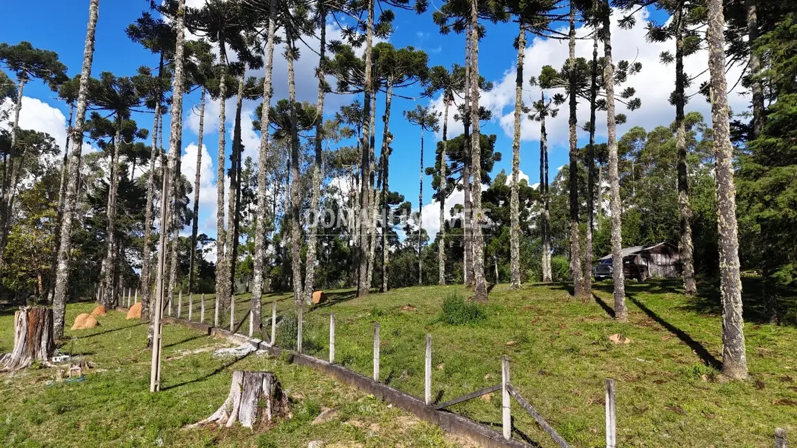 Foto 6 de Casa com 3 quartos à venda, 377m2 em Campos Do Jordao - SP