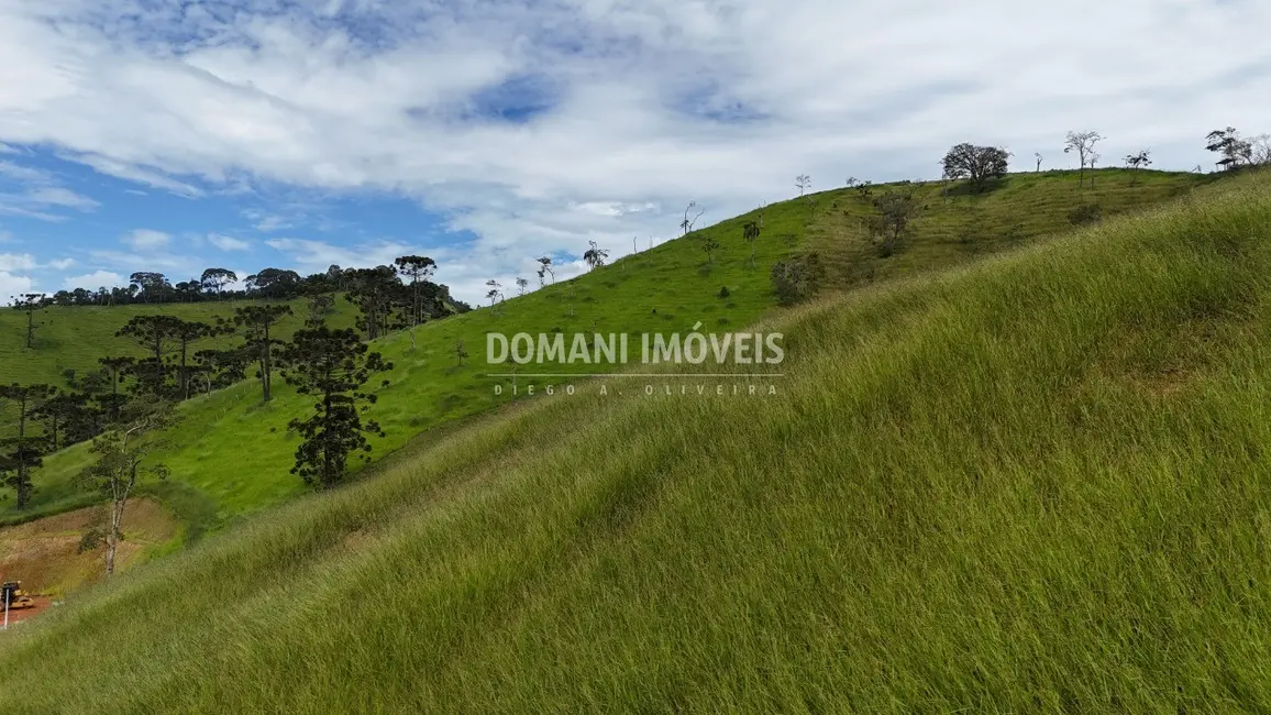 Foto 7 de Terreno / Lote à venda, 1010m2 em Santo Antonio Do Pinhal - SP