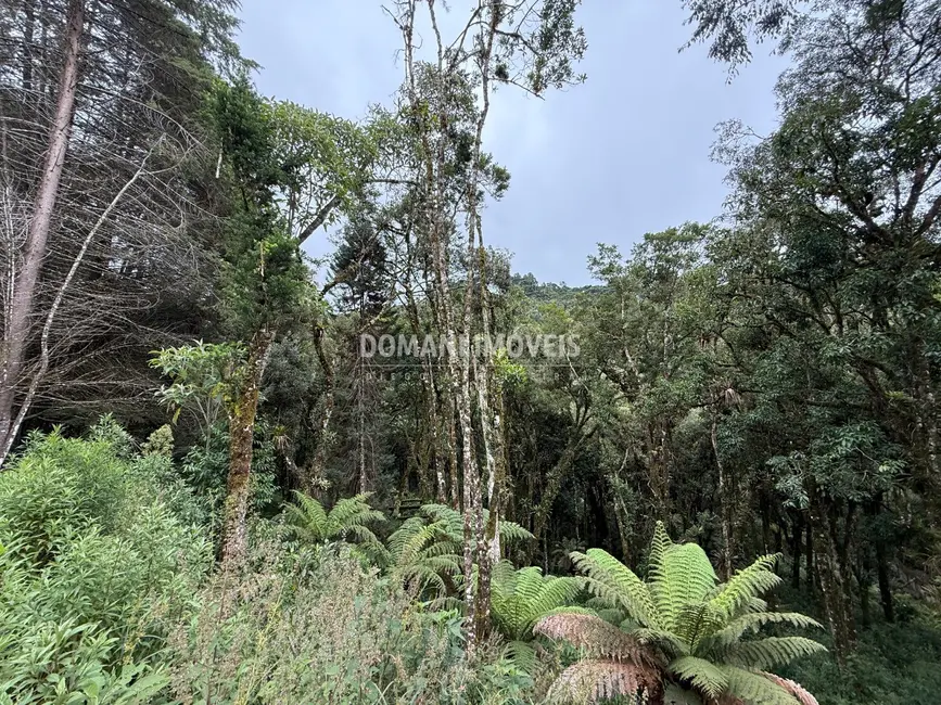 Foto 9 de Terreno / Lote à venda, 1380m2 em Campos Do Jordao - SP