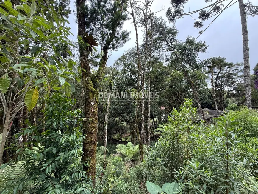 Foto 5 de Terreno / Lote à venda, 1380m2 em Campos Do Jordao - SP