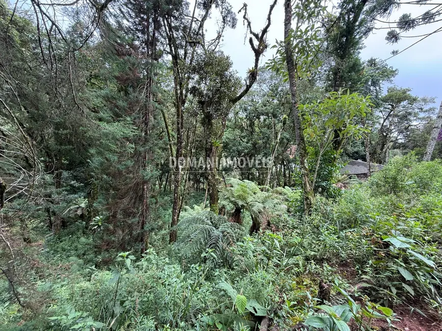 Foto 2 de Terreno / Lote à venda, 1380m2 em Campos Do Jordao - SP