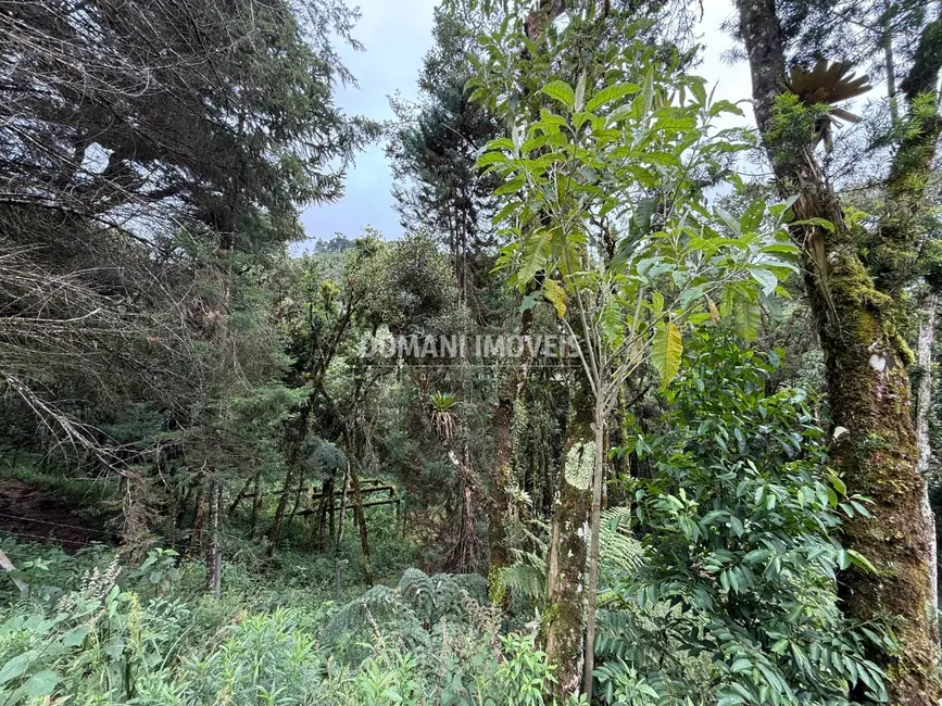 Foto 4 de Terreno / Lote à venda, 1380m2 em Campos Do Jordao - SP