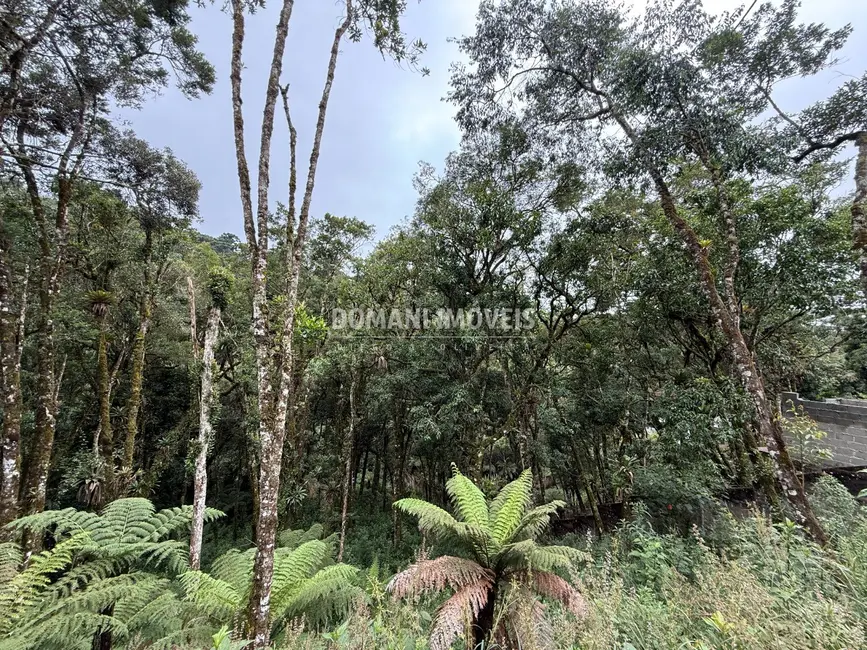 Foto 7 de Terreno / Lote à venda, 1380m2 em Campos Do Jordao - SP