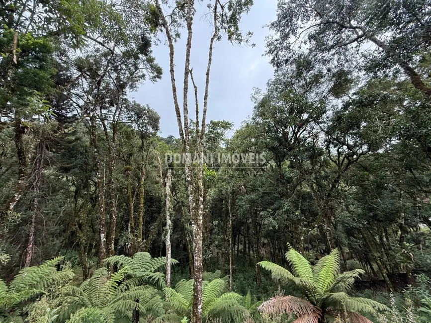 Foto 8 de Terreno / Lote à venda, 1380m2 em Campos Do Jordao - SP